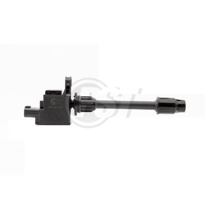 Coil- Nissan Maxima Vq30De 99-/Pathfinder 86-95