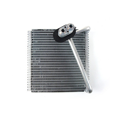 Evaporador Hyundai Elantra 06-10/Cerato