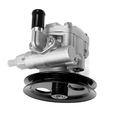 Bomba Power Steering Kia K2700 17-