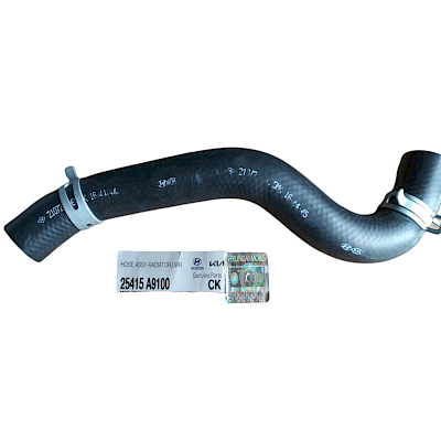 Manguera Inferior Kia Carnival 14-